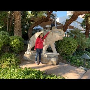 Meet your Posher, Tara